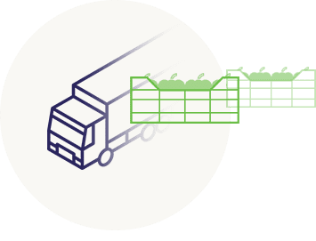 Envasado del producto - Hortibalanegra S.L.