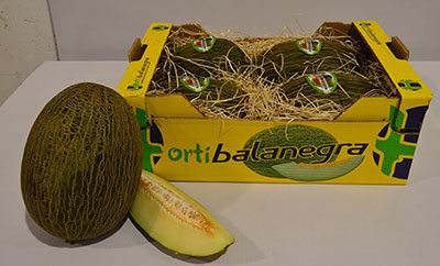 Caja de Melones