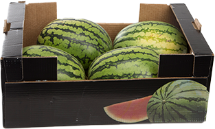 Watermelon boxes