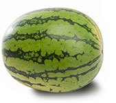 Sandía - Hortibalanegra S.L.